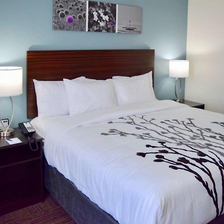 Sleep Inn & Suites near Westchase Houston Exterior foto
